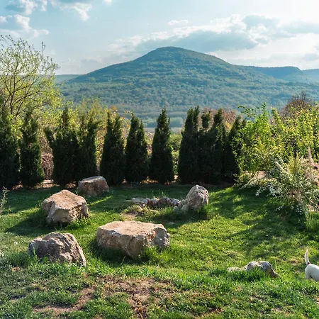 Ваканционна къща Agritourism деребеевата къща Черни връх